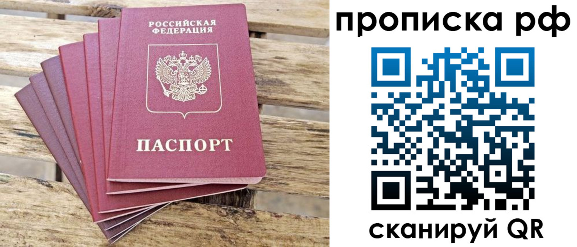 прописка гарантия в Волгодонске